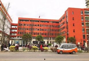 宜宾学校爆料事件的最新进展,真相逐步浮出水面，家长学生权益再引关注  第3张